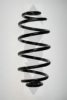 SPIDAN 56792 Coil Spring